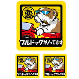 y 傢 uhbO XebJ[ ` z G ObY Ă܂ hbO V[ ^   oCN X[cP[X   B Ȃǂ    IWi XebJ[ 