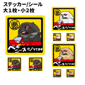 y 傢 yLj[Y XebJ[ ` i1E2Zbgj z G ObY Ă܂ hbO V[ ^   oCN X[cP[X   B Ȃǂ   