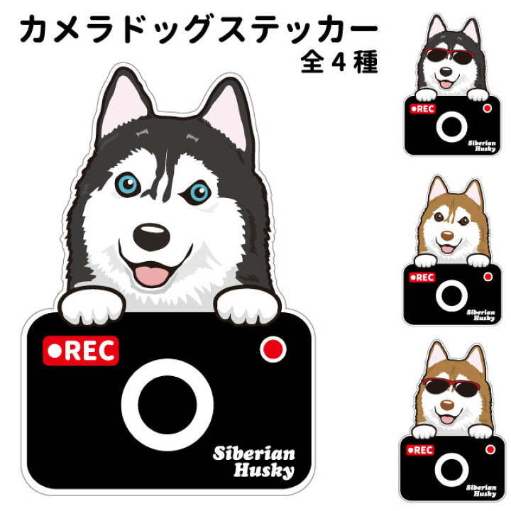 ステッカー 【 カメラ ハッピー グラサン 】 シベリアンハスキー 犬 ドライブレコーダー かわいい 車用 ドラレコ あおり運転 防止 窓 録画 おでかけ 可愛い 犬屋 いぬや 型抜き 切り抜き 犬屋 ❤シベリアンハスキー/ハスキー 外張り カーステッカー 185×100mm