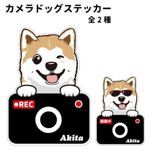 y Hc J hbO XebJ[ ؂蔲^Cv z G ObY  hCuR[_[ 킢 ԗp hR ^] h~  ^ ł    oCN X[cP[X 