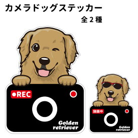 【 ゴールデンレトリバー カメラ ハッピー グラサン 切り抜きタイプ ステッカー 】 犬 ドライブレコーダー かわいい 車用 ドラレコ あおり運転 防止 窓 録画 おでかけ 可愛い