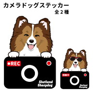 【 シェルティー カメラ ドッグ ステッカー 切り抜きタイプ 】 雑貨 グッズ 犬 ドライブレコーダー かわ…