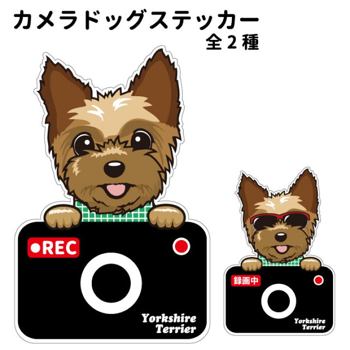 楽天市場 ヨークシャーテリア ヨーキー ステッカー カメラドッグ 犬 犬屋 いぬや ドライブレコーダー 可愛い かわいい 車用 ドラレコ あおり運転 防止 窓 録画 おでかけ 送料無料 犬屋楽天市場店