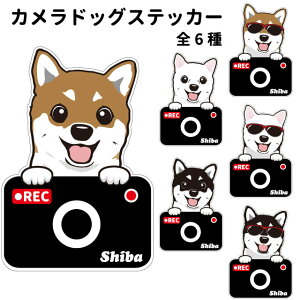 y Č J hbO XebJ[ ؂蔲^Cv z G ObY  hCuR[_[ 킢 ԗp hR ^] h~  ^ ł   oCN X[cP[X   B