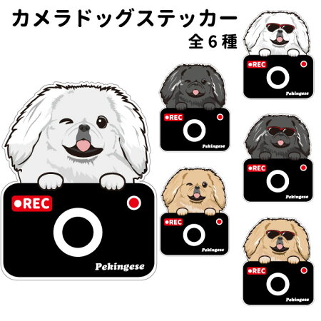 楽天市場 ペキニーズ ステッカー カメラドッグ 犬 犬屋 いぬや ドライブレコーダー 可愛い かわいい 車用 ドラレコ あおり運転 防止 窓 録画 おでかけ 送料無料 犬屋楽天市場店