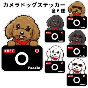 y gCv[h J hbO XebJ[ ؂蔲^Cv z G ObY  hCuR[_[ 킢 ԗp hR ^] h~  ^ ł    oCN X[cP