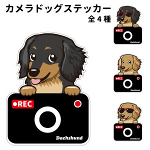 y ~j`A_bNX J hbO XebJ[ ؂蔲^Cv z G ObY  hCuR[_[ 킢 ԗp hR ^] h~  ^ ł    oCN X