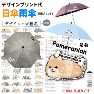 P JP p y fUCvg z  fUC ^ ^ ^  fUC ybgoM[ xr[J[ ܂肽 ֎qP t  ObYi` Vi