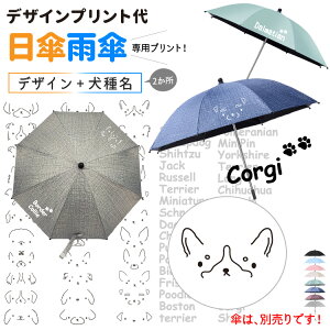 P JP p y fUCvg z VvhbO fUC ^ ^ ^ fUC ybgoM[ xr[J[ ܂肽 ֎qP t  ObY