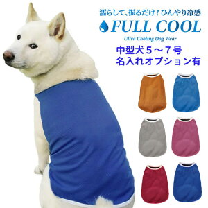  ĕ FULL COOL n^Ngbv bV ^ y5`7z ⊴ Ђ   N[ CM p ΍ Č tN[ {   t   ʓrIvV ObY