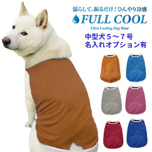  ĕ FULL COOL n^Ngbv bV ^ y5`7z ⊴ Ђ   N[ CM p ΍ Č tN[ {   t   ʓrIvV ObY