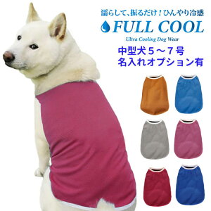  ĕ FULL COOL n^Ngbv bV ^ y5`7z ⊴ Ђ   N[ CM p ΍ Č tN[ {   t   ʓrIvV ObY