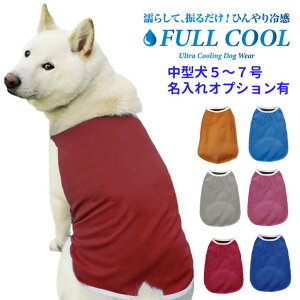  ĕ FULL COOL n^Ngbv bV ^ y5`7z ⊴ Ђ   N[ CM p ΍ Č tN[ {   t   ʓrIvV ObY