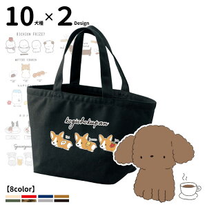 UobO g[gobO STCY тfUC ( CAB1543 G ObYČ R[M[ ViEU[ t`uhbO pO v[h |jA S[fg[o[ _bNXj