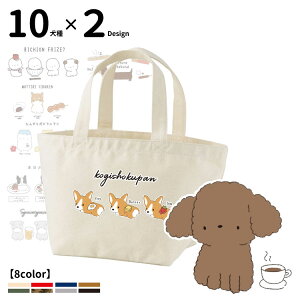 UobO g[gobO STCY тfUC ( CAB1543 G ObYČ R[M[ ViEU[ t`uhbO pO v[h |jA S[fg[o[ _bNXj