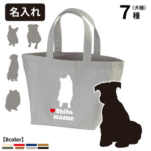  uʁv hbOVGbg UobO g[gobO STCY (CAB1543 G ObY O  LoX   R[M[ Č |jA ` Vi S[f pO