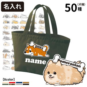  uJ[v UobO g[gobO STCY (CAB1543 G ObY O UobO Č R[M[ ViEU[ t`uhbO pO v[h |jA S