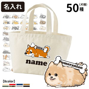  uJ[v UobO g[gobO STCY (CAB1543 G ObY O UobO Č R[M[ ViEU[ t`uhbO pO v[h |jA S
