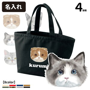  UobO g[gobO STCY `lR CAB1543 (G ObY O Oh[ VAu[ XReBbVtH[h AJV[gwA[ LoX L