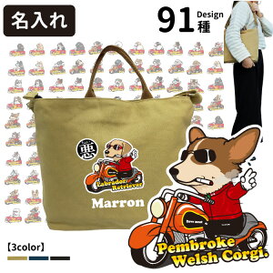  傢 V_[obO Vg[gobO MTCY ( G ObY UobO g[g Č R[M[ ViEU[ t`uhbO pO v[h |jA S[f