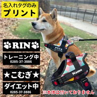 【犬 ネームタグ ブラック ハーネス用 2枚セット 】名前札 迷子札 名前入れ 名前入り 名入れ 楽らくハー…