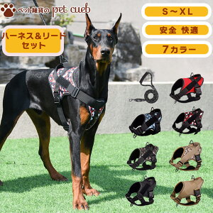  n[lX [h Zbg  ^ ^ ^ Ȃ ɂ EȂ Eɂ qh~ f J̓S AEghA  킢 @\Q  [