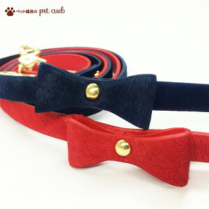 ㎿nRfރ{[h{ 킢 IV nR v U[ ^ L  L  J[  [h |Xg 