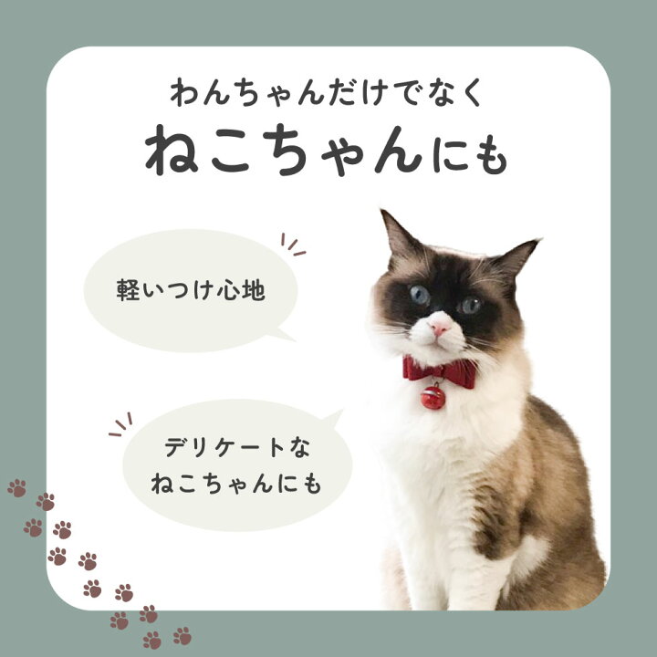 楽天市場】リボン首輪 猫 犬 首輪 リボン 鈴 柔らかい おしゃれ 静か  