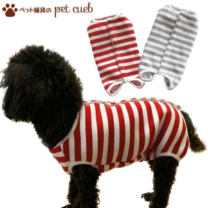 y2_500~OFFN[|z 1ɂ1ʂŃ[֔ XgCvp㕞  ̕ p㕞 XgCv V N JWA  {^ ^ ^ I[C