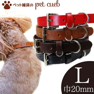 ADELA 4FIׂ {v  L ցiLTCY 20mmj J[  {v v U[ 킢 IV  ^ ^ |Xg 