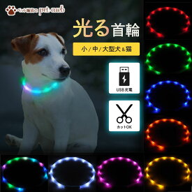 光る首輪 散歩 犬光る首輪 シリコン 痛くない 首輪 犬 猫 ペット 充電式 LED首輪 選べる　全8色 レインボー LED USB ライト 夜 夜道 散歩 安全 事故防止 小型 中型 大型 サイズ調節可能 防水　送料無料　1,000円　レインボー　キラキラ