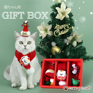 L NX}X v[g Mtg{bNX }t[ Xq  RXv Cxg p[eB[ 킢   ʐ^f L NX}X L ˂  S 킢 