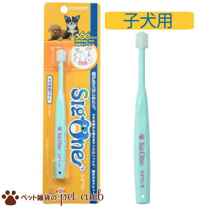 yuV3_ȏゲwő/|XgzroebN VIVATEC VO qpuV y߂  I[PAzy₷ 360xzyroebNzyVOz