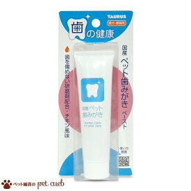 定形外(内)100g 送料無料 国産 ペット歯みがき ペースト 38g ×1ヶ 犬用 猫用 デンタルケア 歯磨き 歯垢 チキン味 歯を傷めない トーラス キャンセル/返品不可