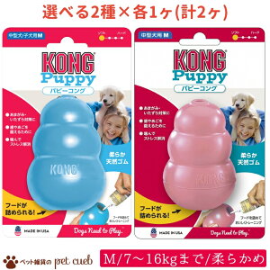 `O250g  Iׂ2×e1(v2) ps[RO M ( ^ 7`16kg )V[Y p RO KONG q̊Ê݂ \tgŊ݂̂^Cv  2`9̎qp
