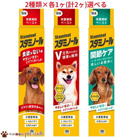 犬用 スタミノール 100g シリーズ 3種類の中から2種類×各1ヶ選べる(計2ヶ) 食欲がないときに 関節ケア スタミノールV アースーペット 栄養補給 栄養補完食 健康維持 水分補給 やさしい甘さ チューブ キャンセル/返品不可