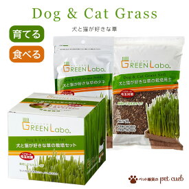 犬と猫が好きな草 栽培セット 種 土 (単品販売) 犬 猫 兼用 草 猫草 栽培 エイム エイムクリエイツ タネ 送料無料
