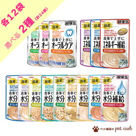 健康缶 パウチ 選べる 2種類×各12袋 24 セット 猫 健康缶パウチ アイシア エネルギー補給 オーラルケア 水分補給 猫用 ウェットフード キャットフード アソート まとめ買い 送料無料 合計24袋