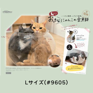 ɂ񂱂̋  L ˂ Pi̔ hM[} hM[}nV SNSf MTCY LTCY J[e NbV tM L 