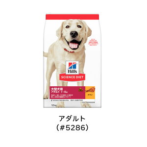 ^p ^ TCGXE_CGbg 12kg Iׂ 1 (Pi̔)  hbOt[h p TCGX _CGbg e A_g ps[ VjA  q VjA A_gCg `L 