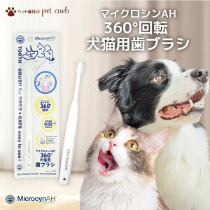 }CNVAH 360°  L uV }CNVybg Lp   L  C PApi f^PA 2{ڈȍ~ [ [hEwXPA ]