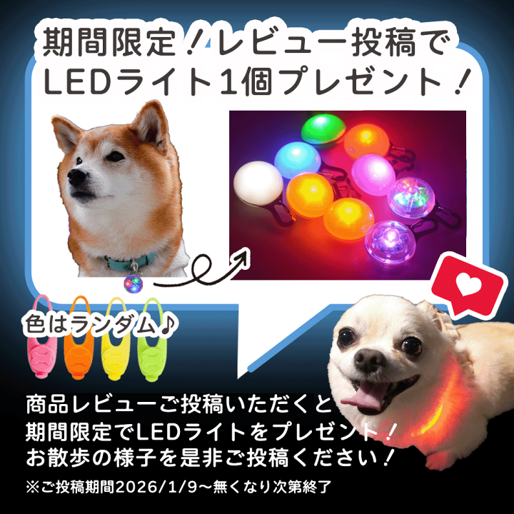 楽天市場】輪っか ボール リング 音が鳴る おもちゃ 選べる S M ペット