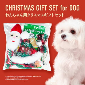 p NX}XMtg NX}X v[g Mtg  ^ ^ ^ NX}Xv[g [ ӂ肩 `[J[  Xq