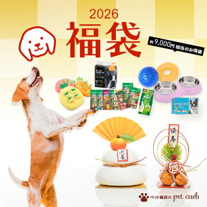   2026 p  G [ V[c v[g nbs[obO   a NX}X v[g Mtg _ f^ f^PA lߍ킹  y