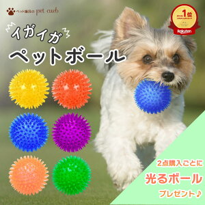 y2_wł܂z CKCK  {[   ybg d CKCK{[  ^ ^ ^ `O ߋ gC  킢 lC sRsR CKCK f^PA 