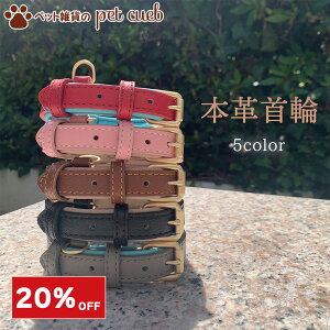 yI20OFFz L   ˂т pi     ^ ^ v  U[ {v ɂȂ S S y y _炩 pO Č ` _b