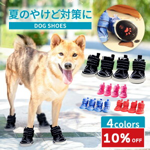 yX[p[Z[10OFF / ܂tzfjV[Y  C p hbO V[Y fj C ̌C U `O(100g) ~ EȂ  hbOu[c ybgC ی ^ 