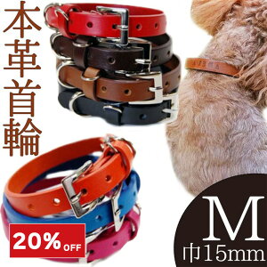  L  ADELA 7FIׂ{vցiMTCY 15mmjJ[  {v v U[ 킢 IV  ^ ^ |Xg 