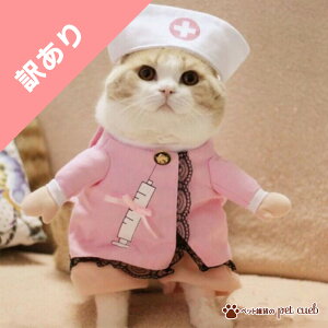 yA/XqȂz L  nEB 񑫕s i[X MTCY RXv RX`[ lC IV nEB  RXv ʔEGA ߑ |Xg