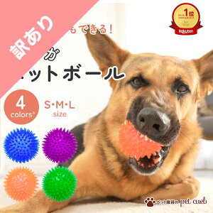 �y��A���z�� �{�[�� �������� �y�b�g �d�� �C�K�C�K�{�[�� �� ���^�� ���^�� ��^�� ��`�O �ߋ� �g�C ���� ���킢�� �l�C �s�R�s�R �C�K�C�K �f���^���P�A �_�C�G�b�g �g���[�j���O �^��